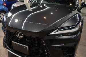 2407lexusrx05
