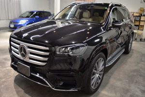 2502gls-bk03